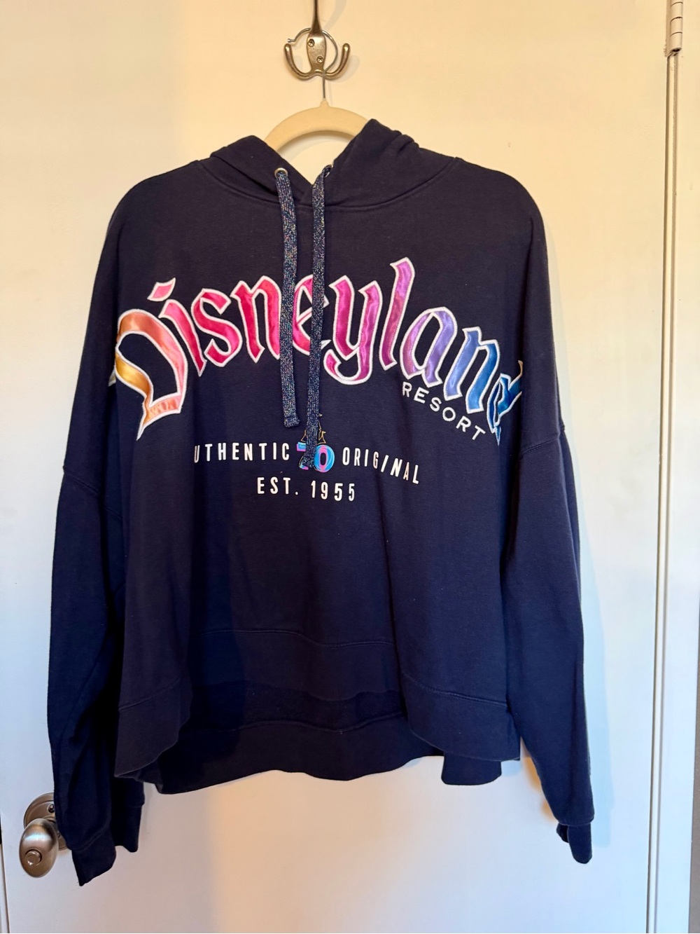 Disneyland 1X Navy Rainbow 70th Anniversary Logo Hoodie